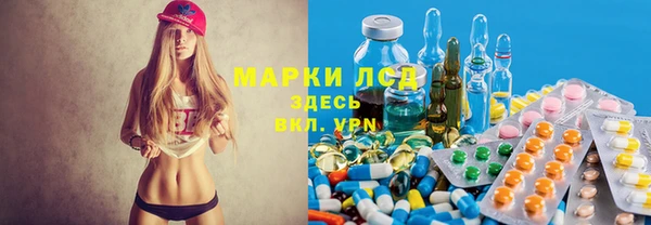 гидра Алексеевка