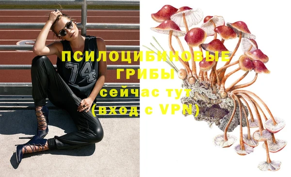 гидра Алексеевка