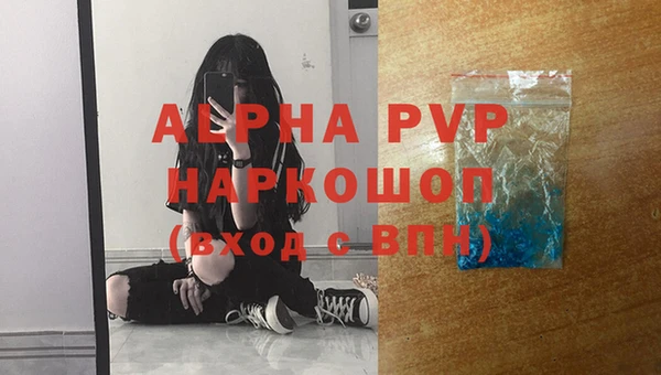 apvp Гусев