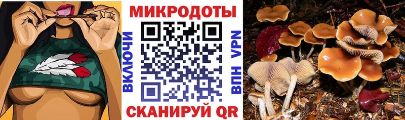 где найти   omg tor  Псилоцибиновые грибы прущие грибы  Тосно 