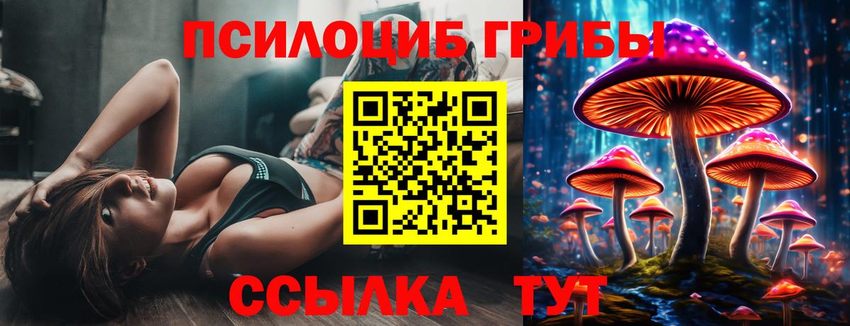 Галлюциногенные грибы прущие грибы Тосно